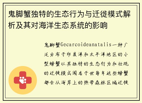 鬼脚蟹独特的生态行为与迁徙模式解析及其对海洋生态系统的影响 鬼脚蟹独特的生态行为与迁徙模式解析及其对海洋生态系统的影响